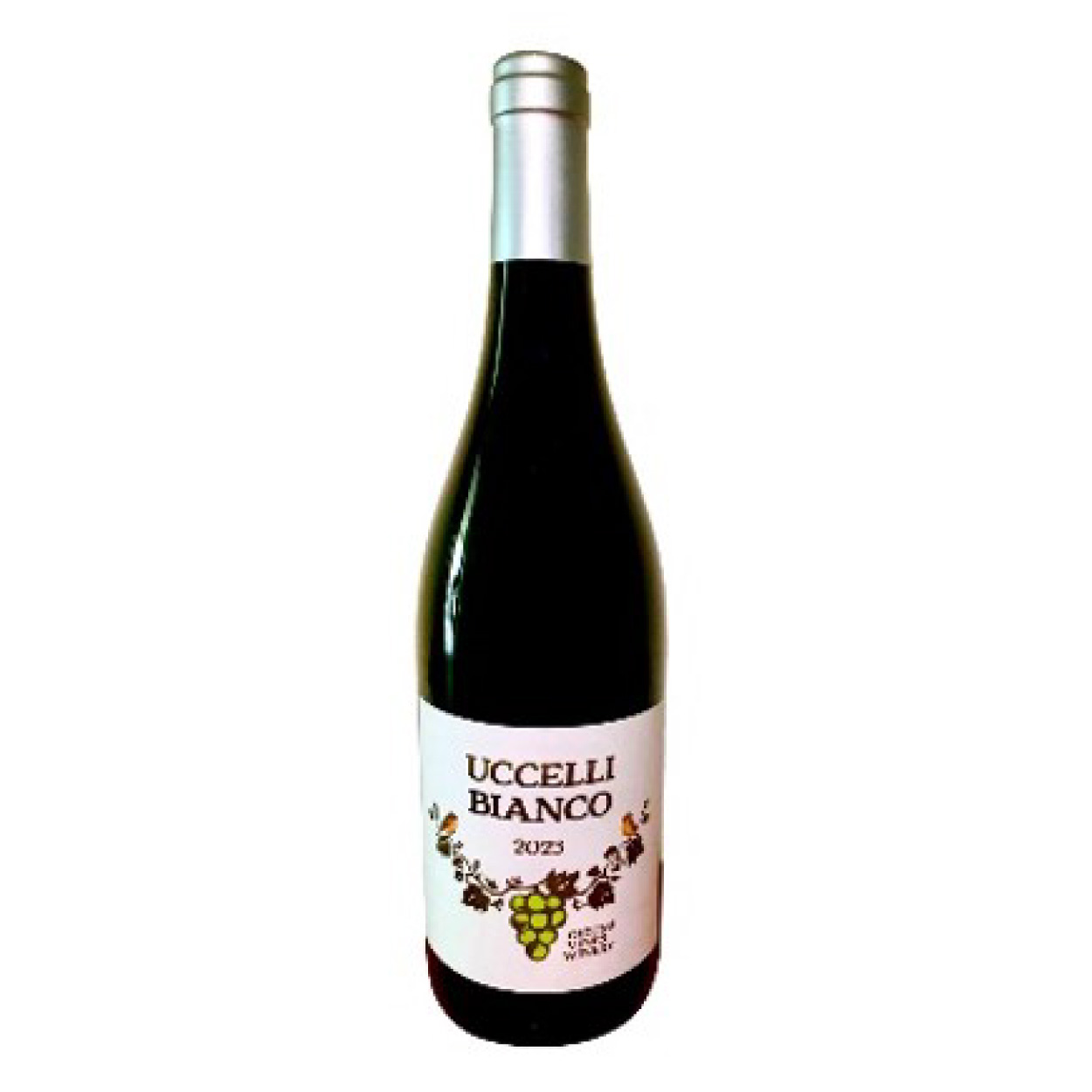 uccelli bianco 2023